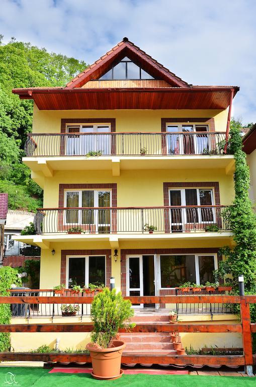Pensiunea Deea Băile Herculane Dış mekan fotoğraf